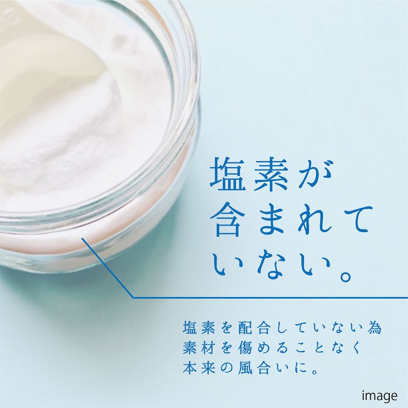 カンペハピオ 9002476 復活洗浄剤 エフロ用 300ML #00017660062300 1個（ご注文単位1個）【直送品】