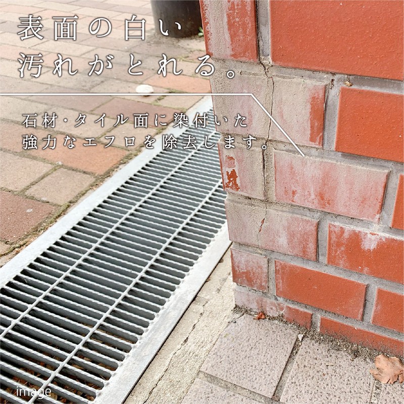 カンペハピオ 9002477 復活洗浄剤 エフロ用 1L #00017660061010 1個(ご注文単位1個)【直送品】