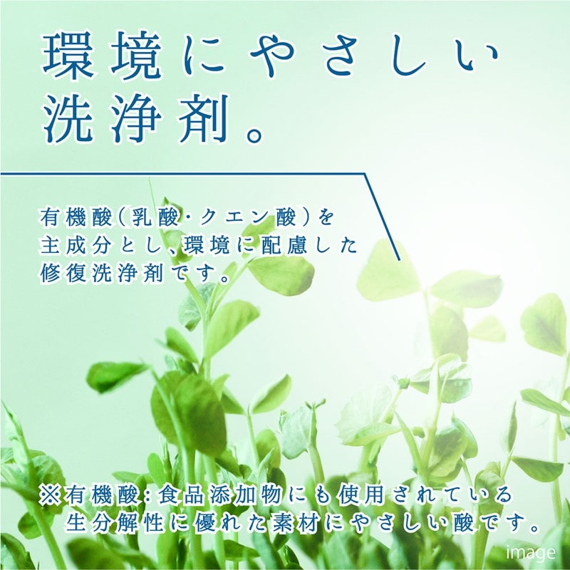 カンペハピオ 9002492 復活洗浄剤 ステンレス用 1L #00017660031010 1個(ご注文単位1個)【直送品】