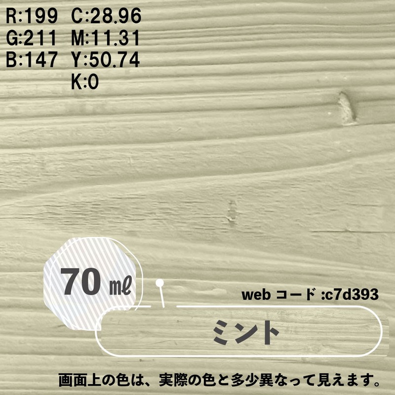 カンペハピオ 9025081 ボタニカルペイント ミント 70ml 1個(ご注文単位1個)【直送品】