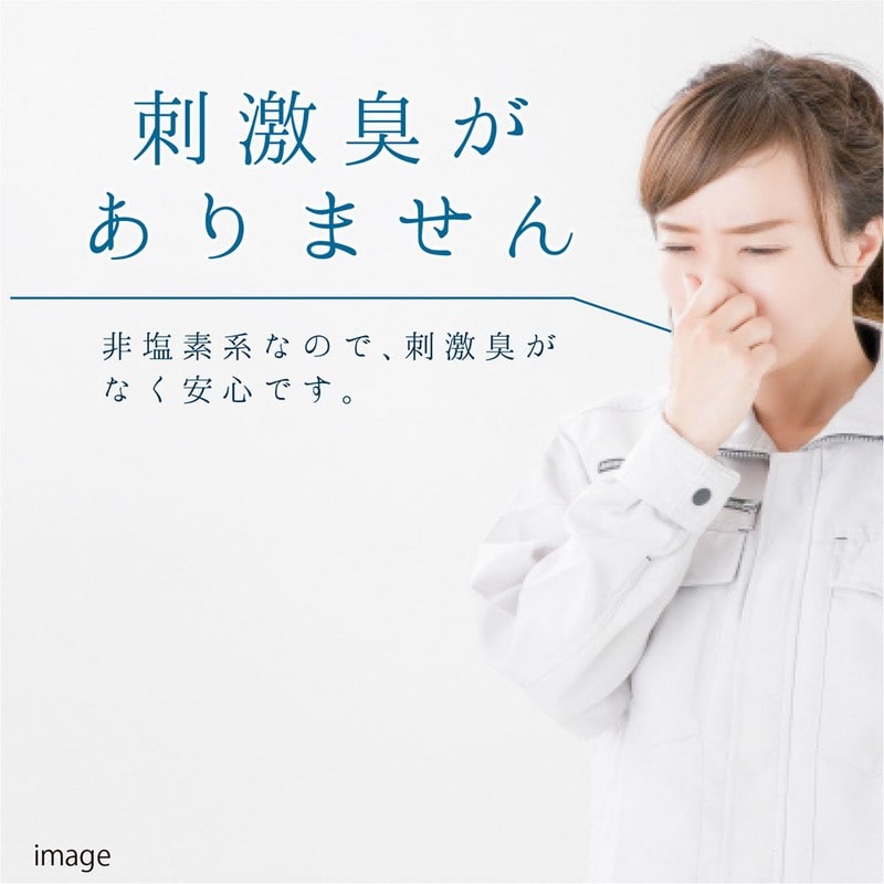 カンペハピオ 9002502 室内かべ用油汚れ・カビ取りクリーナー 300ML #00017660152300 1個（ご注文単位1個）【直送品】