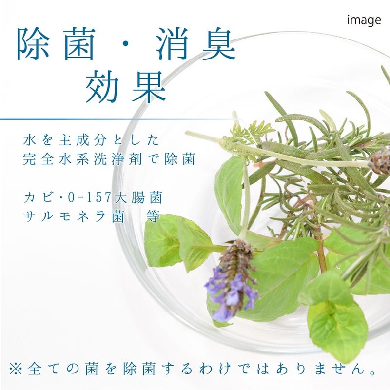 カンペハピオ 9002502 室内かべ用油汚れ・カビ取りクリーナー 300ML #00017660152300 1個（ご注文単位1個）【直送品】