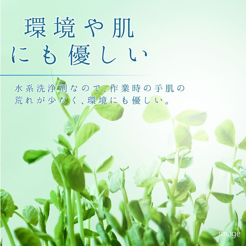 カンペハピオ 9002502 室内かべ用油汚れ・カビ取りクリーナー 300ML #00017660152300 1個（ご注文単位1個）【直送品】