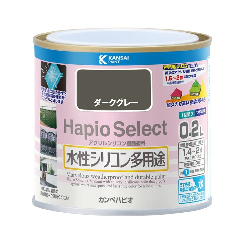 カンペハピオ 9000017 ハピオセレクト ダークグレー 0.2L #00017650091002 1個（ご注文単位1個）【直送品】