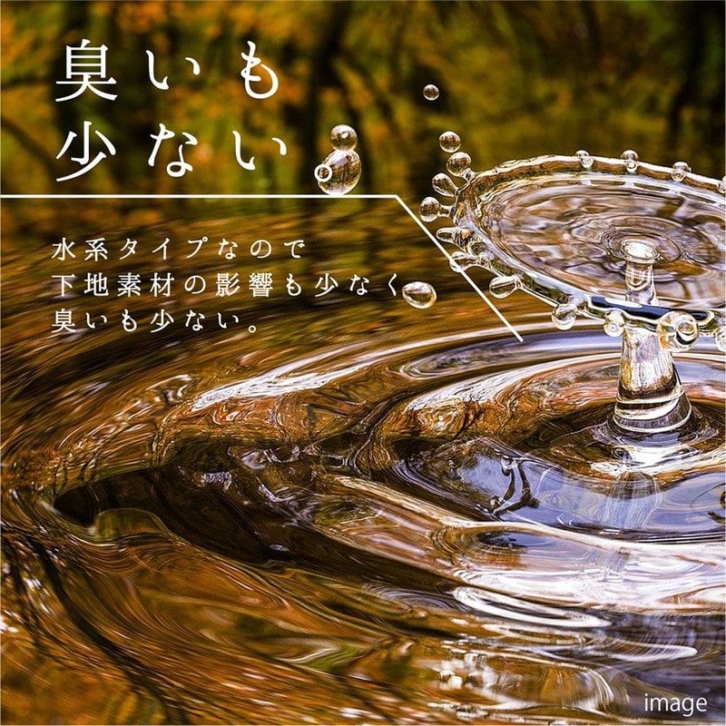カンペハピオ 9002503 らくがき落としクリーナー 250ML #00027660202250 1個(ご注文単位1個)【直送品】