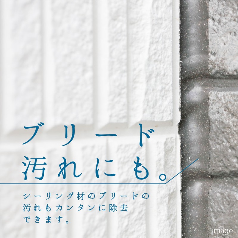カンペハピオ 9002470 復活洗浄剤 タイル用 100ML #00017660012100 1個(ご注文単位1個)【直送品】