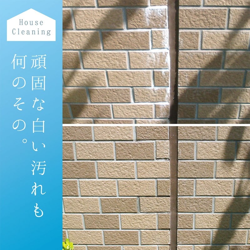 カンペハピオ 9002475 復活洗浄剤 エフロ用 100ML #00017660062100 1個(ご注文単位1個)【直送品】