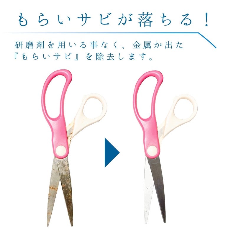 カンペハピオ 9002495 復活洗浄剤 サビ取り用 80G #00017660084080 1個(ご注文単位1個)【直送品】