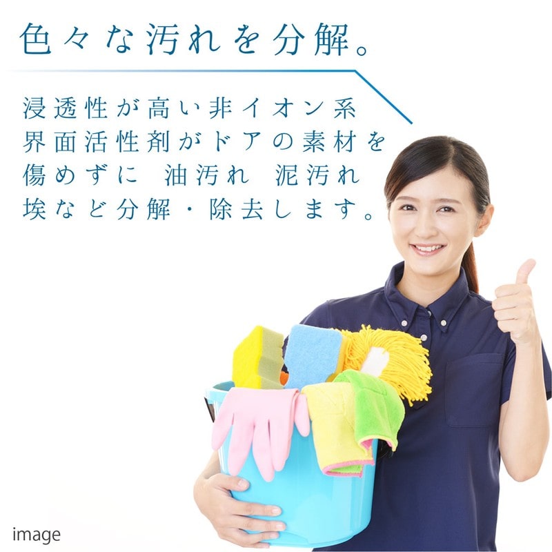 カンペハピオ 9002496 復活洗浄剤 玄関ドア用 100ML #00017660092100 1個(ご注文単位1個)【直送品】