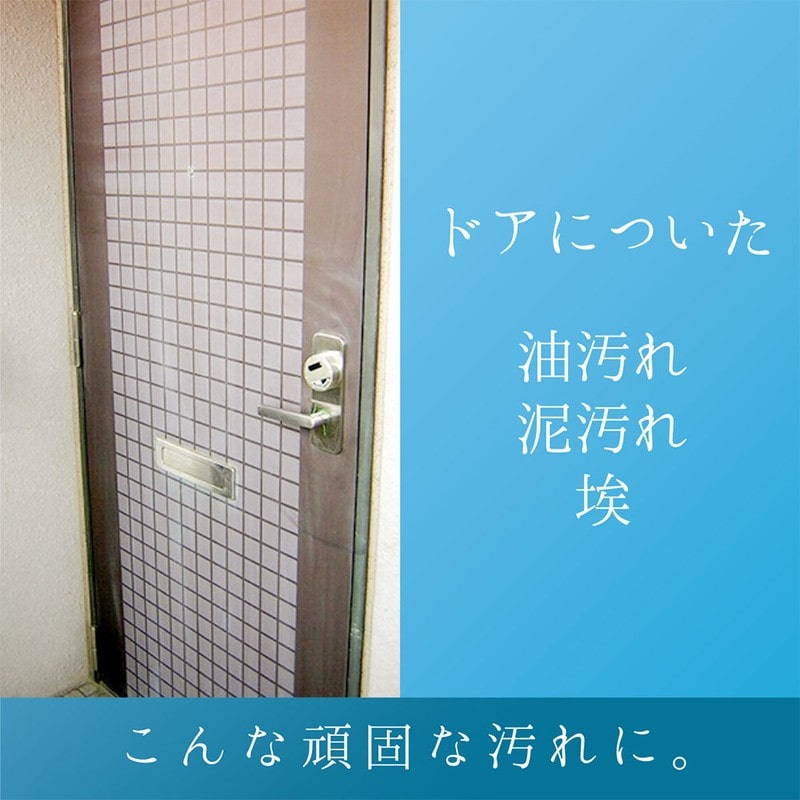 カンペハピオ 9002496 復活洗浄剤 玄関ドア用 100ML #00017660092100 1個(ご注文単位1個)【直送品】