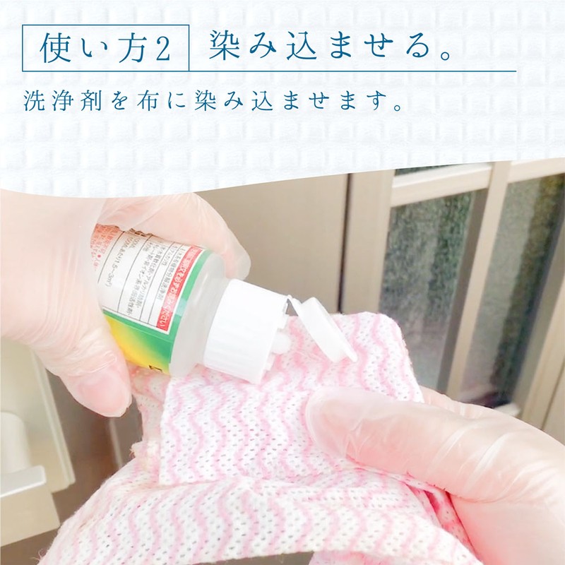 カンペハピオ 9002496 復活洗浄剤 玄関ドア用 100ML #00017660092100 1個(ご注文単位1個)【直送品】