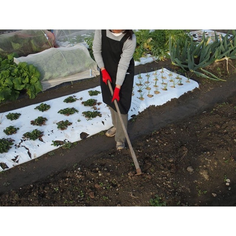 キンボシ 309476 GS #4314-L 農園芸グローブLレッド 1個(ご注文単位1個)【直送品】