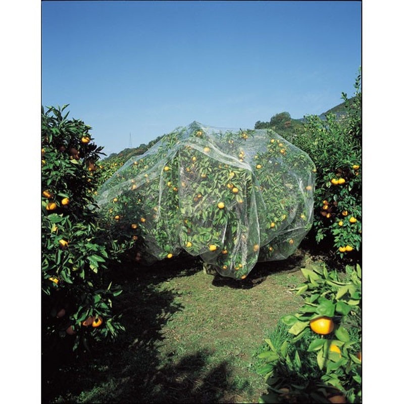 キンボシ 309585 GS #7679 果樹すっぽり防鳥ネット 6×6m 1個(ご注文単位1個)【直送品】