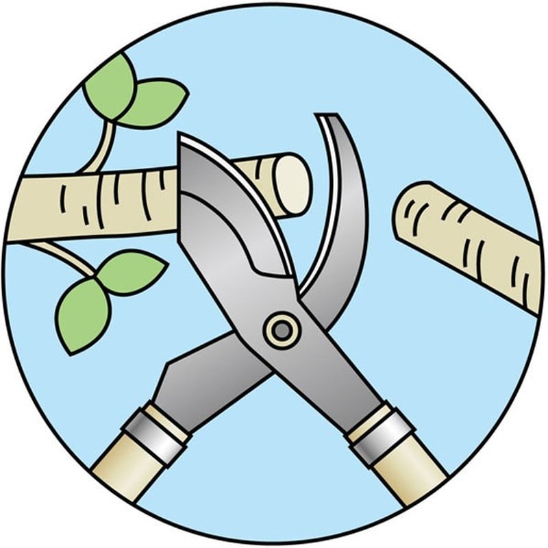 キンボシ 309130 GS #2016 木柄枝切鋏 1個(ご注文単位1個)【直送品】