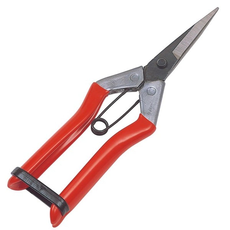 キンボシ 309464 GS #2286 大福 芽切鋏 1個（ご注文単位1個）【直送品】