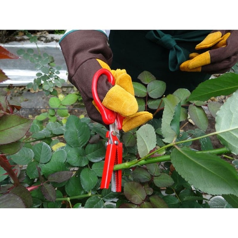 キンボシ 305109 GS #2319 キリ娘 万能鋏 カット&キャッチ 1個（ご注文単位1個）【直送品】