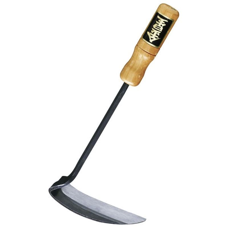 キンボシ 305112 大分カナ大 #265081 1個(ご注文単位1個)【直送品】