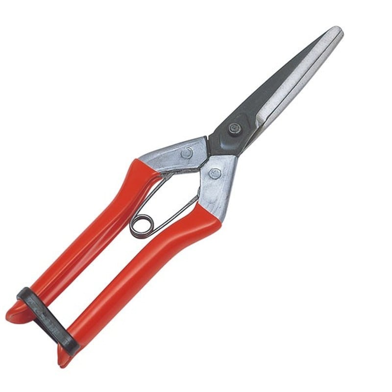 キンボシ 309465 GS #2290 大福 青果鋏 1個(ご注文単位1個)【直送品】