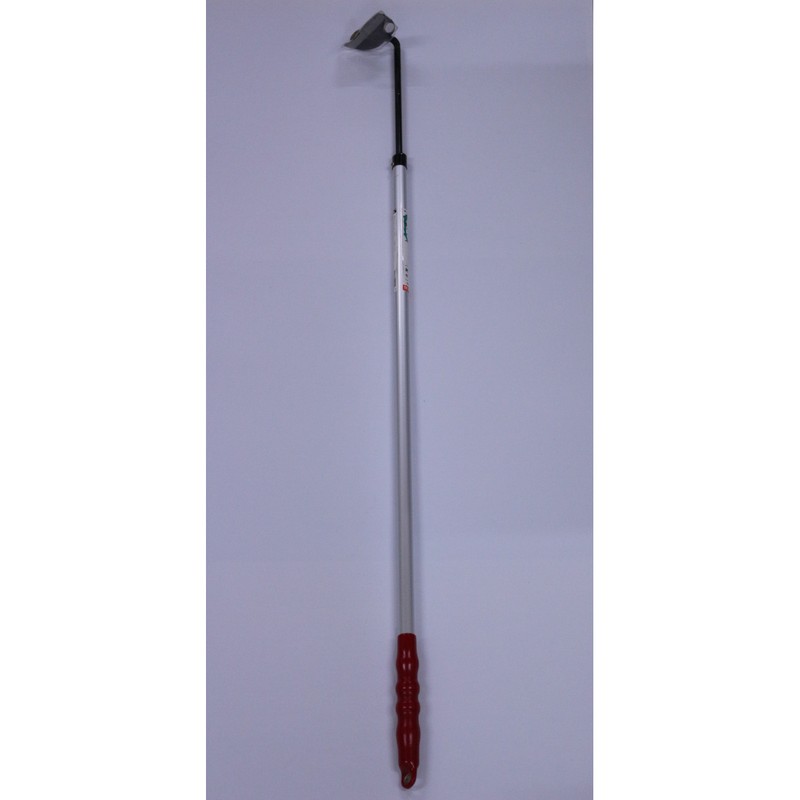 キンボシ 3090050 GS #140491 玉ねぎホー ロング 1個(ご注文単位1個)【直送品】