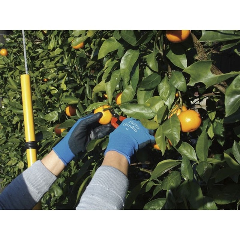 キンボシ 309482 GS #4312-L 菜果グローブL ブルー 1個（ご注文単位1個）【直送品】