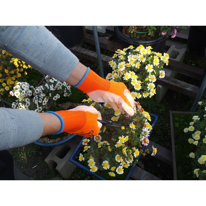 キンボシ 309485 GS #4313-L 菜果グローブL オレンジ 1個（ご注文単位1個）【直送品】