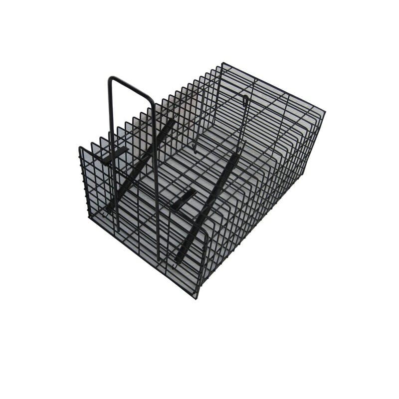 コンパル 205134 コンパル ブラック 角型ハウス 1個（ご注文単位1個）【直送品】