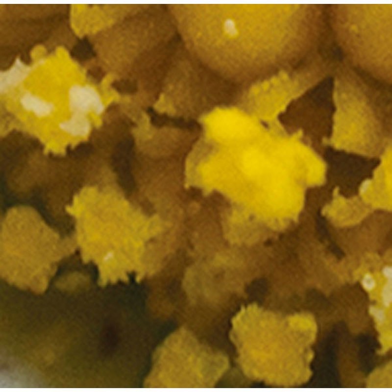 シンワ測定 4102128 75753ルーペ H ポケット型顕微鏡 LED付 #75753 1個(ご注文単位1個)【直送品】