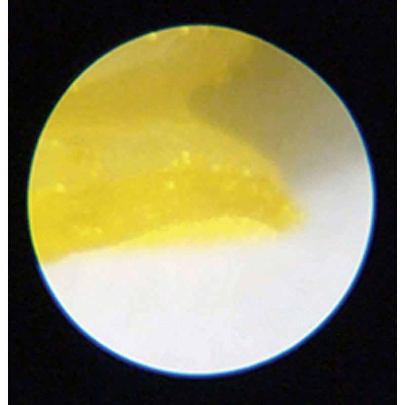 シンワ測定 4102128 75753ルーペ H ポケット型顕微鏡 LED付 #75753 1個(ご注文単位1個)【直送品】