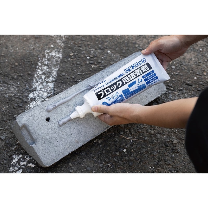 セメダイン 904239 ピタブロック 1kg AE-228 1個（ご注文単位1個）【直送品】