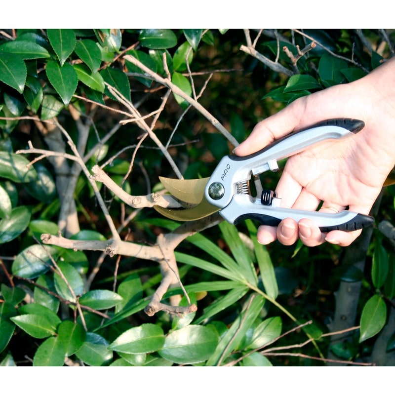 マック 111071 チタンプロ 剪定鋏 TSE-41 1個（ご注文単位1個）【直送品】