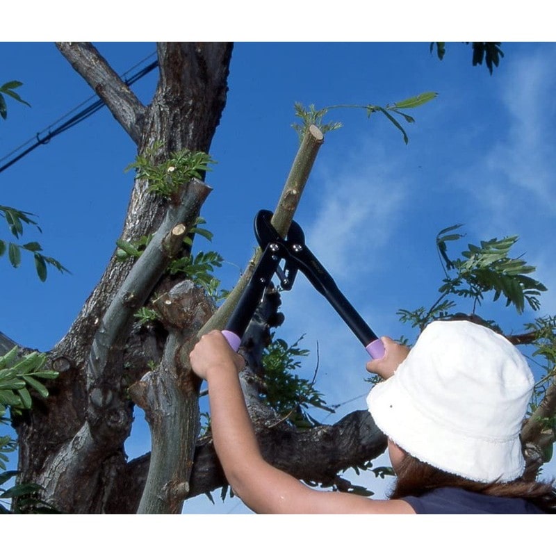 マック 111074 太枝切りハサミ スーパーラチェットパワー ED-41 1個(ご注文単位1個)【直送品】