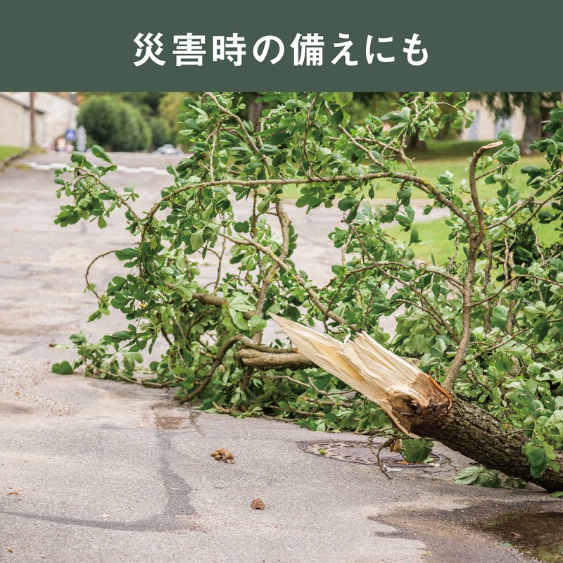 ムサシ 431525 充電式ハンディチェーンソー HCS-6000 1個(ご注文単位1個)【直送品】