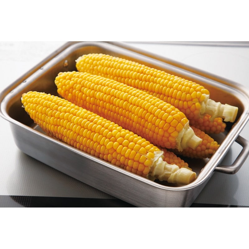 貝印 2041599 O.E.C.W角鍋 000DY5204 1個(ご注文単位1個)【直送品】