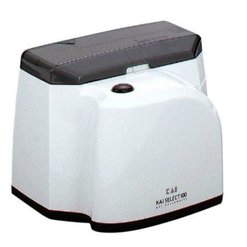 貝印 204544 100カートリッジ両刃用 #000AP0135 1個（ご注文単位1個）【直送品】