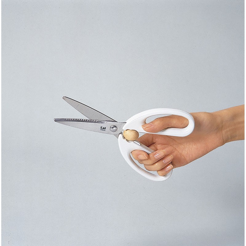 貝印 2041118 KK キッチンバサミ セパレートタイプ DH8004 1個（ご注文単位1個）【直送品】