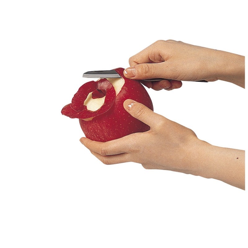 貝印 2041129 KK 折り込みフルーツナイフ DH8015 1個(ご注文単位1個)【直送品】