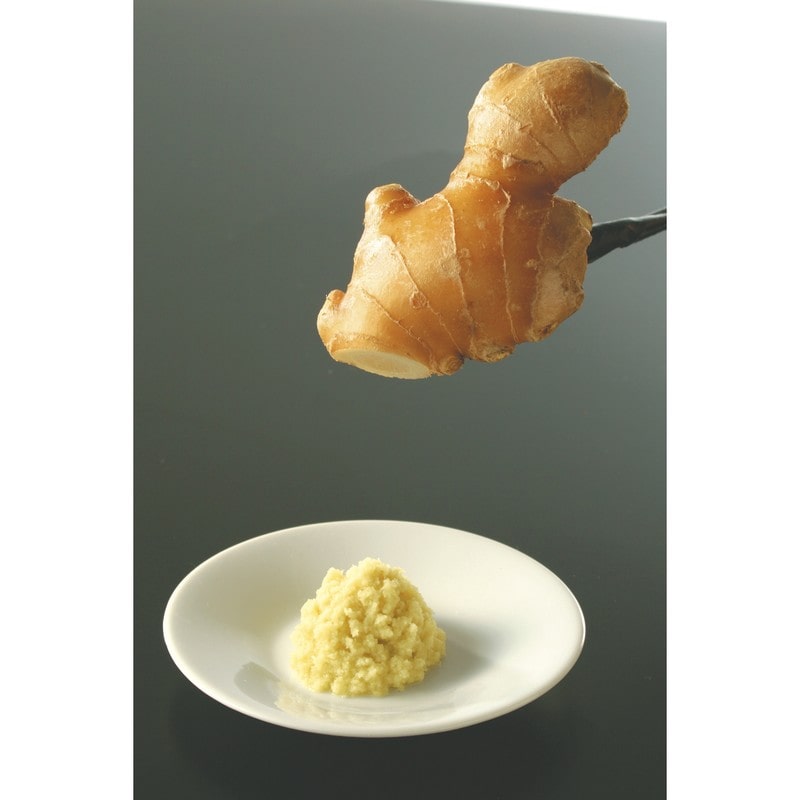 貝印 2041151 KK ステンレス ミニおろし DH8037 1個(ご注文単位1個)【直送品】