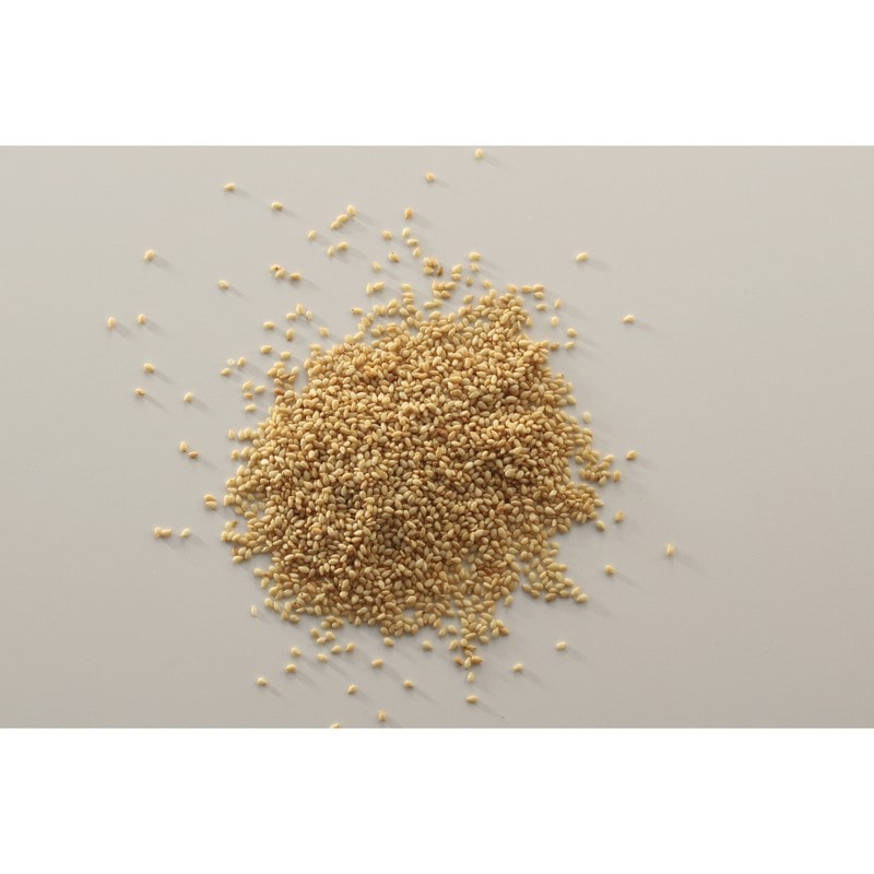 貝印 2041169 KK 卓上ごますり器 DH8055 1個(ご注文単位1個)【直送品】