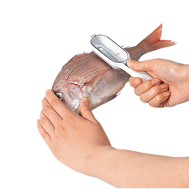 貝印 2041309 KK うろこ取りケース付き DH8196 1個(ご注文単位1個)【直送品】