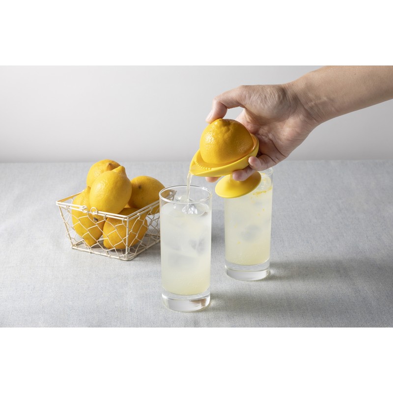 貝印 2041306 KK 軽い力でしっかりしぼれるレモンジューサー DH8193 1個(ご注文単位1個)【直送品】