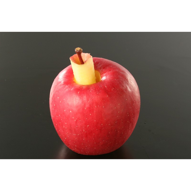 貝印 2041299 KK リンゴの芯取り DH8186 1個(ご注文単位1個)【直送品】