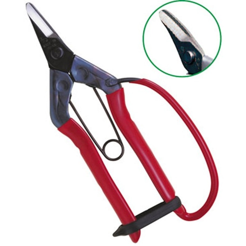 近正 103012 S-200G 採果鋏曲刃 ガード付 袋入 1個（ご注文単位1個）【直送品】