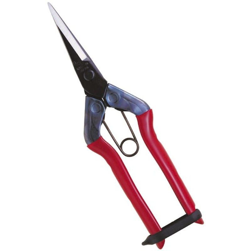 近正 103051 T-551 芽切鋏 尖直長刃 箱入 1個（ご注文単位1個）【直送品】