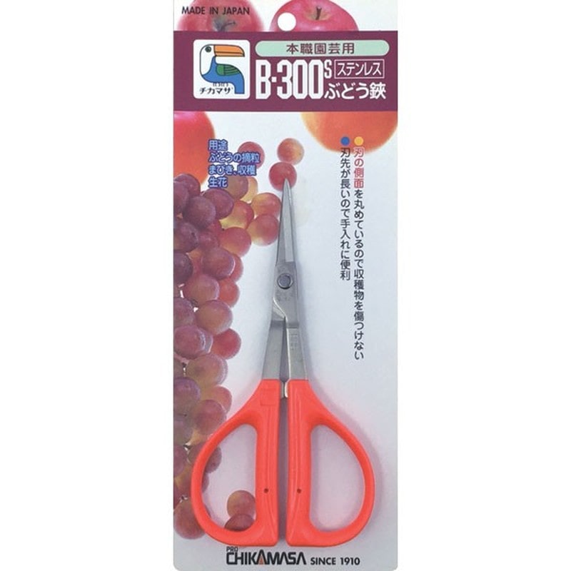 近正 103257 B-300S ステンぶどう鋏 大型 BP 1個（ご注文単位1個）【直送品】
