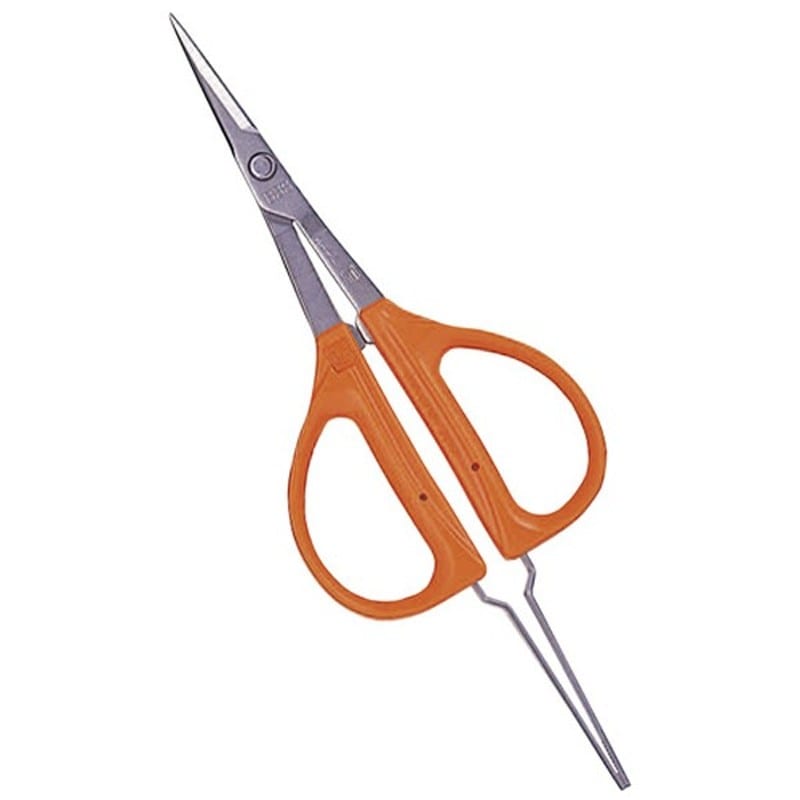 近正 103260 B-300SP ステンぶどう鋏 ピンセット付 BP 1個（ご注文単位1個）【直送品】