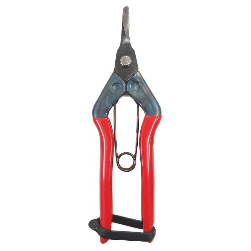 近正 103428 近正 S-230 芯切鋏 極曲刃 BP 1個（ご注文単位1個）【直送品】