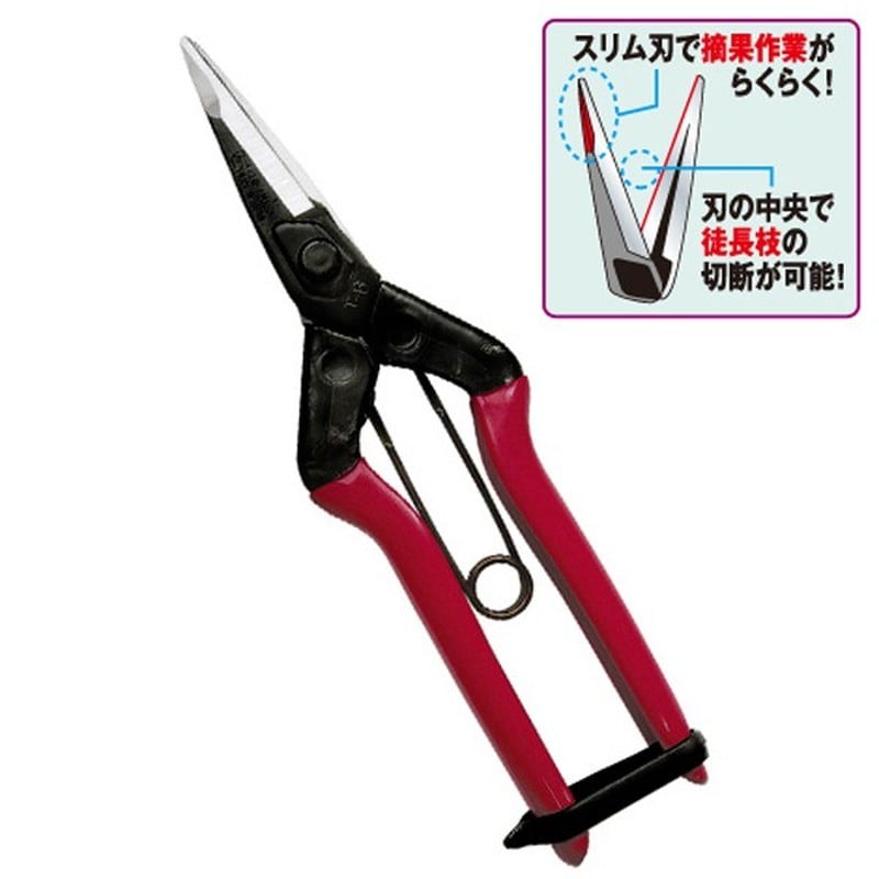近正 103277 T-601K 大型摘果鋏 刃先薄刃 BP 1個（ご注文単位1個）【直送品】