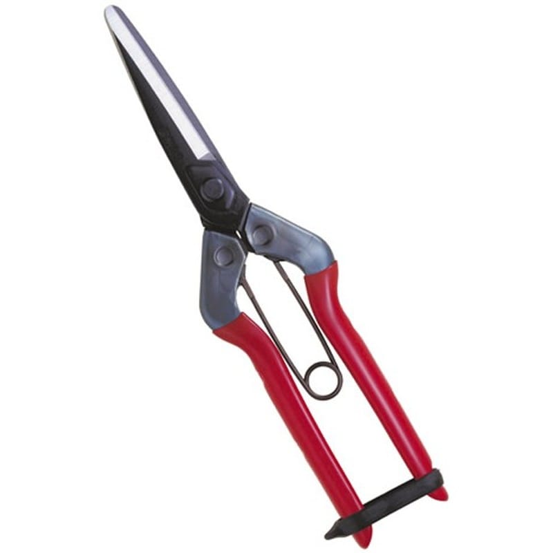 近正 103273 T-700 青果鋏 先丸長刃 BP 1個（ご注文単位1個）【直送品】