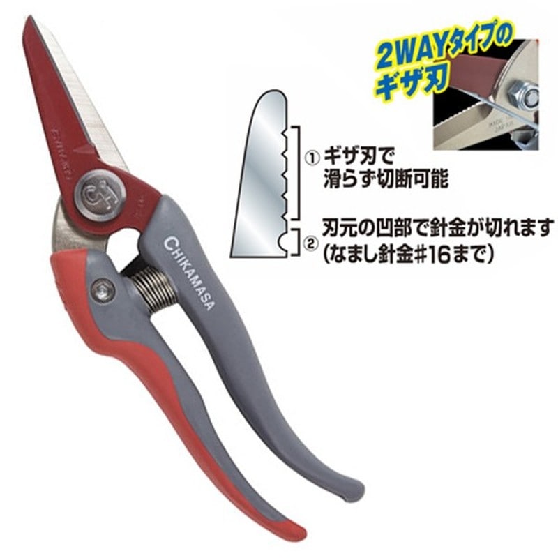 近正 103383 TS-66B ウルトラロッソG BP 1個（ご注文単位1個）【直送品】