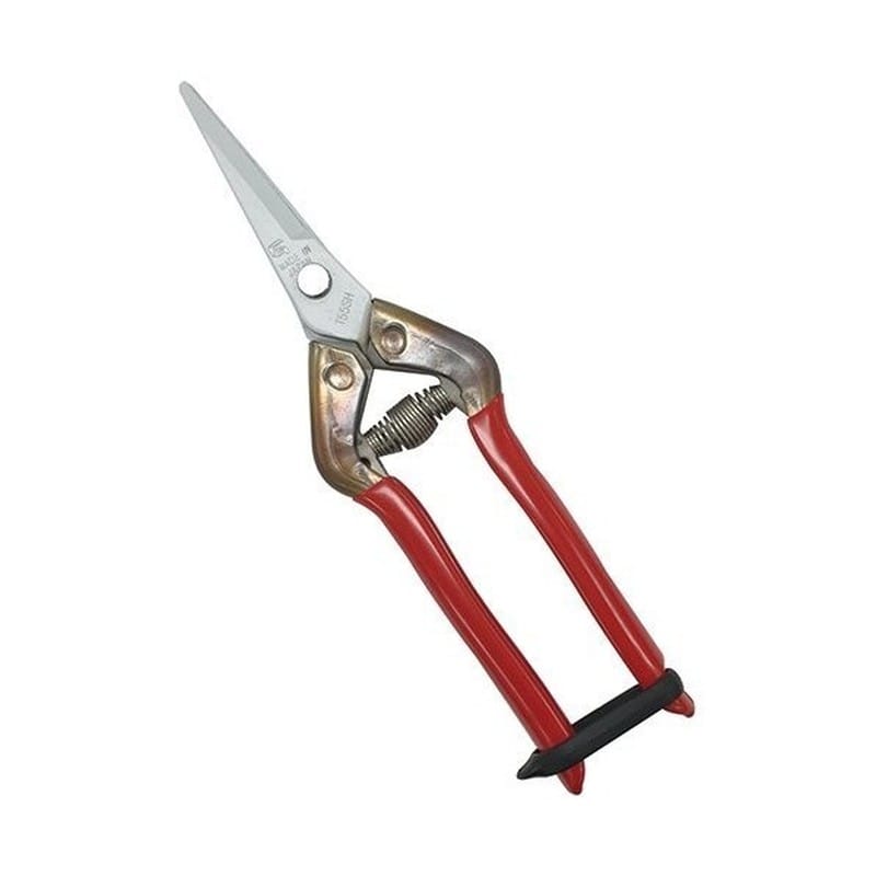 近正 103429 近正 T-55SKF ステンレス抗菌鋏 BP 1個（ご注文単位1個）【直送品】